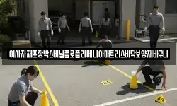 이사자재포장박스비닐플로플라베니아매트리스바닥보양재바구니