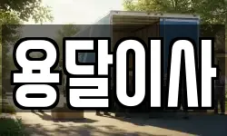 용달이사