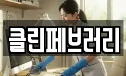 클린페브러리