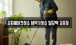 김포에어컨청소 세탁기청소 일당백 김포점