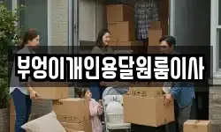 부엉이개인용달원룸이사