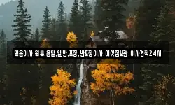 믿음이사,원룸,용달,일반,포장,반포장이사,이삿짐보관,이사견적24시