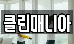 클린매니아