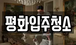 평화입주청소