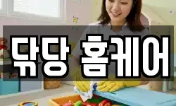 닦당 홈케어