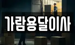가람용달이사