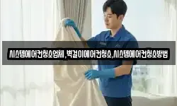 시스템에어컨청소업체,벽걸이에어컨청소,시스템에어컨청소방법