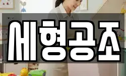 세형공조