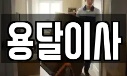 용달이사