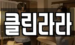 클린라라