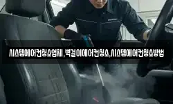 시스템에어컨청소업체,벽걸이에어컨청소,시스템에어컨청소방법
