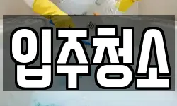 입주청소