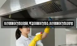 시스템에어컨청소업체,벽걸이에어컨청소,시스템에어컨청소방법