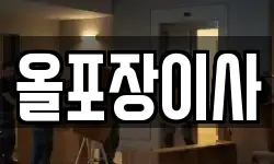 올포장이사