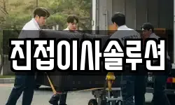 진접이사솔루션