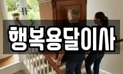 행복용달이사