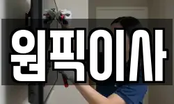원픽이사