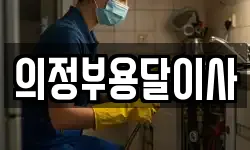 의정부용달이사