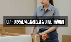 이사,이삿짐,익스프레스,포장이사,가정이사
