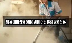 맑음에어컨청소시스템에어컨분해청소전문