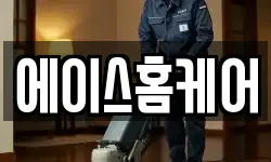 에이스홈케어