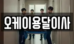 오케이용달이사