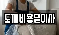 도깨비용달이사