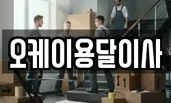 오케이용달이사