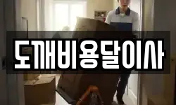 도깨비용달이사