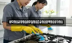 바닥청소공장청소사무실청소준공청소외벽청소상가청소