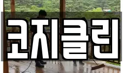 코지클린