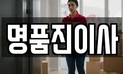 명품진이사