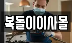 복돌이이사몰