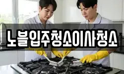 노블입주청소이사청소