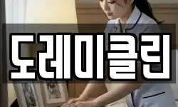 도레미클린