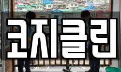 코지클린