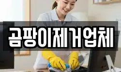 곰팡이제거업체