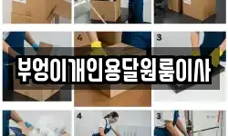 부엉이개인용달원룸이사