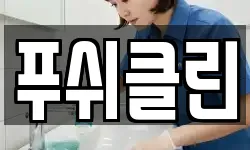 푸쉬클린