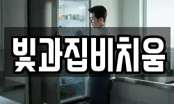 빛과집비치움