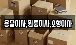 용달이사,원룸이사,소형이사