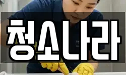 청소나라