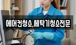 에어컨청소,세탁기청소전문