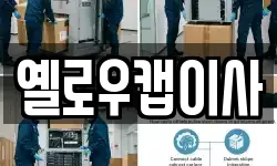 옐로우캡이사