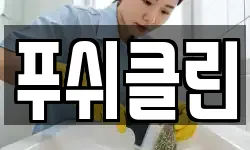 푸쉬클린