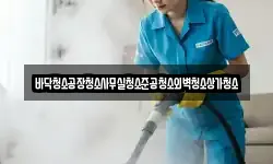 바닥청소공장청소사무실청소준공청소외벽청소상가청소