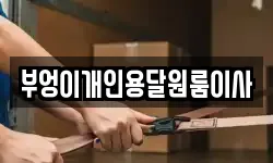 부엉이개인용달원룸이사