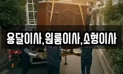 용달이사,원룸이사,소형이사