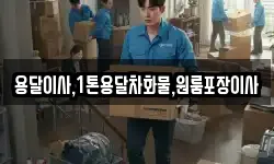 용달이사,1톤용달차화물,원룸포장이사