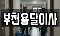 경기도 부천시 원미구 춘의동 이사,용달이사,포장이사,원룸이사,보관이사